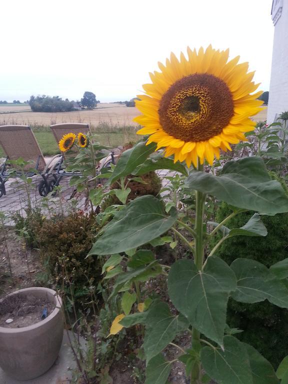 Roskilde B&B Gadstrup Экстерьер фото