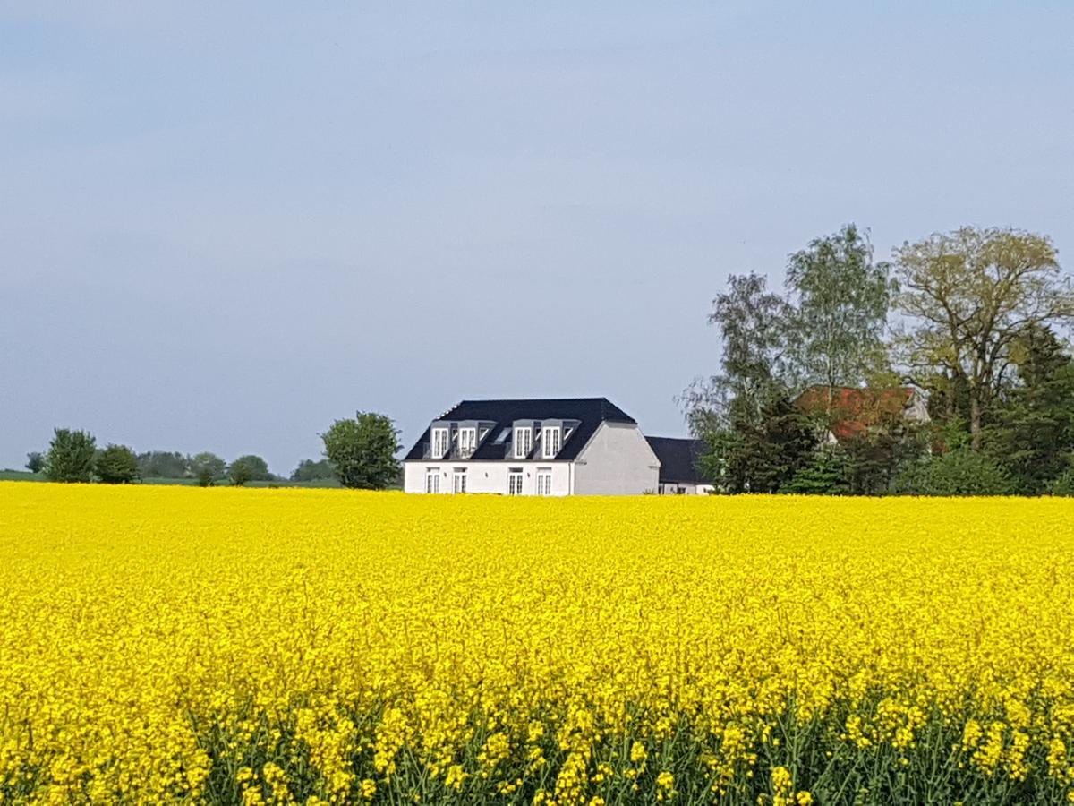 Roskilde B&B Gadstrup Экстерьер фото
